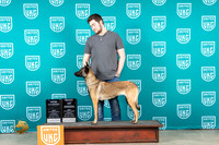 Belgian Shepherd #454 Sun BOBCH Judge Lynn Martin