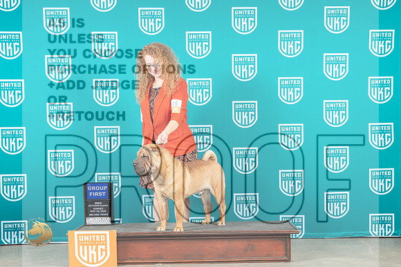 Chinese Shar Pei #415 Sun G1 Judge Karen Cattin_MJ_4142_UKCBelton_2022_HR3