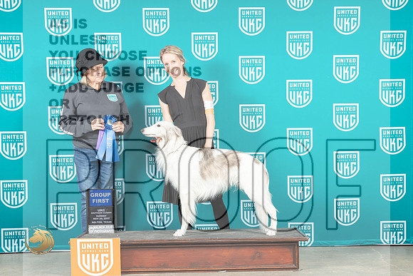 Silken Windhound #177 Sun BOBG1 Judge Lynn Martin_MJ_4185_UKCBelton_2022_HR3