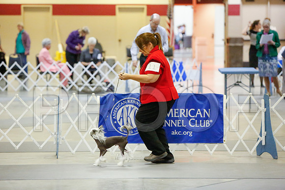 _JJ_2042-AmarilloSept2014-HR3