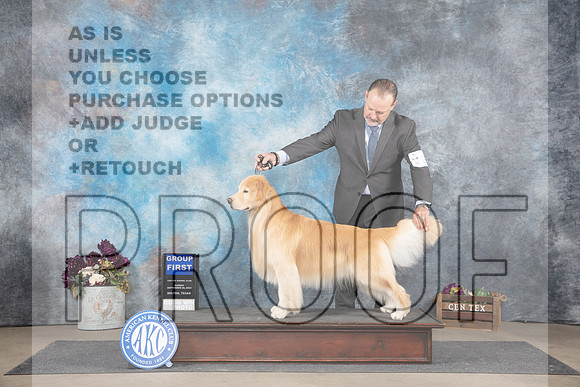 Golden Retriever #25 Sun BOB G1 Judge Joan Liebes__JP_8129_Belton_2024_HR3