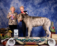 Irish Wolfhound #5 Sat New Champion Gill Sheila and Ian Judge M Klinkowski +A2