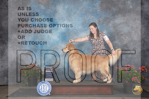 Golden Retriever #35 Sat G4 Judge Wendy G Willhauck__JP_5242_San Antonio_2024_HR3