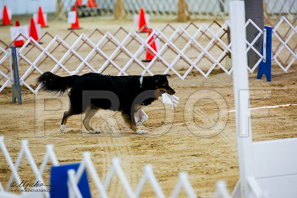 _JJ_7678-ASCACollegeStationNov2014-HR3
