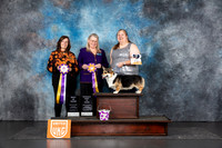 Pembroke Welsh Corgi #? Sun BIS RBIS