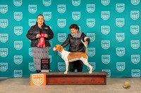 Ann Wolf UKC Belton 2022