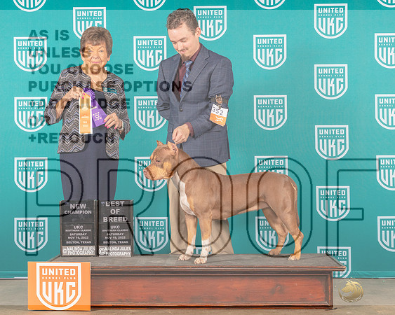 American Bully #352 Sat G1 Judge Joe Allen-_MJ_3658e_UKCBelton2022-HR3