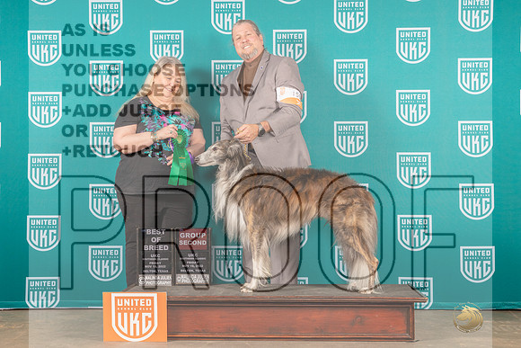 Silken Windhound #158 Fri BOBG2 Judge Malinda Julien-_MJ_3141e_UKCBelton2022-HR3