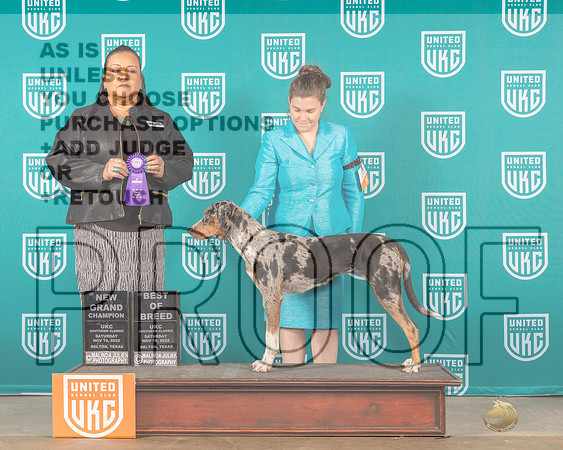 LCLD #201 Sat BOB Judge Michelle Blackowl Chavez-_MJ_3558e_UKCBelton2022-HR3