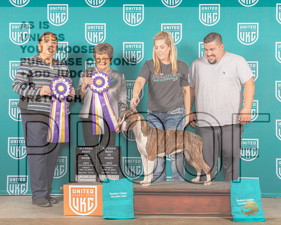American Pit Bull Terrier #270 Fri BIS Judges Michelle & Nancy-_MJ_3280_UKCBelton2022-HR3
