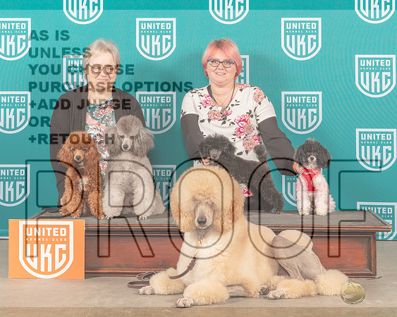 Poodle #285-_MJ_3626_UKCBelton2022-HR3