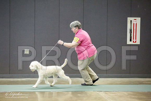 _RH_9233-BeltonJan2015-HR3
