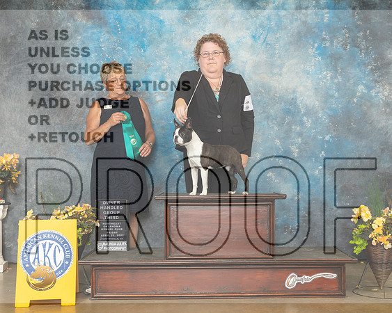 Boston Terrier #6 Fri OHG3 Judge Cathy Daugherty-MMJ_9761-NWARK2022-HR3