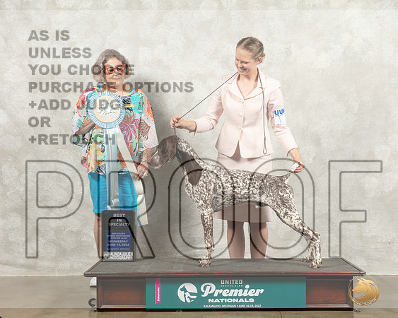 German Shorthaired Pointer #169 Wed BISS Judge Julie Pepper_MMJ_6716_Premier_2022_HR3