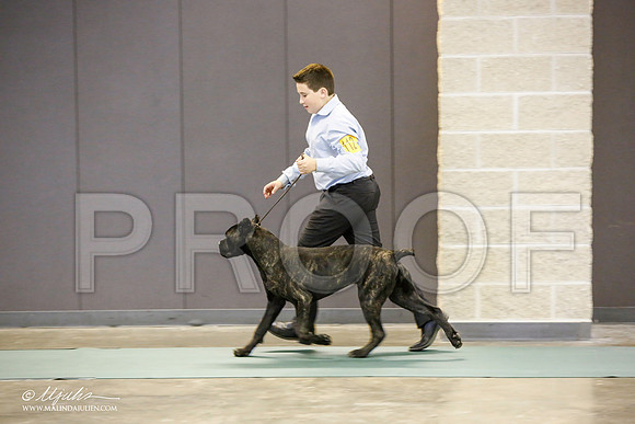 _JN_1675-BeltonJan2015-HR3