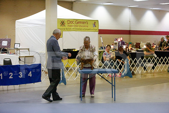 _JJ_2186-AmarilloSept2014-HR3