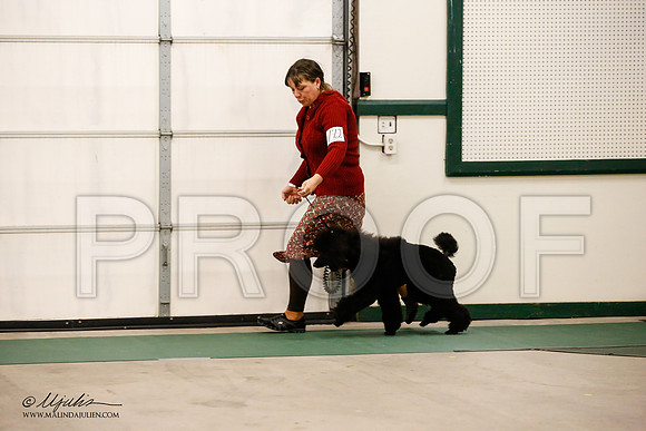 _JN_0999-NrmnNov2014-HR3