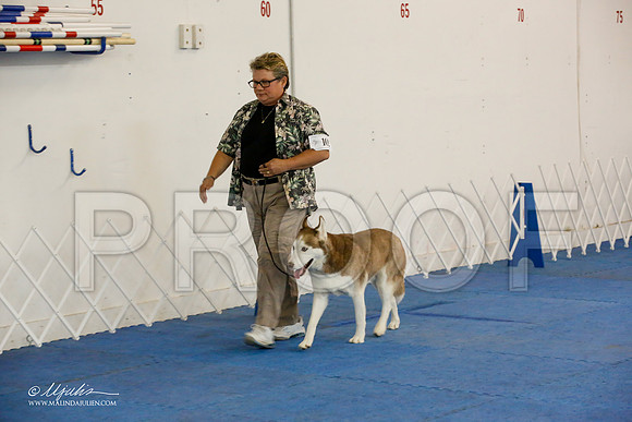 _M3_7844-AddisonHuskyMar2015-HR3