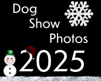 2025 Dog Shows
