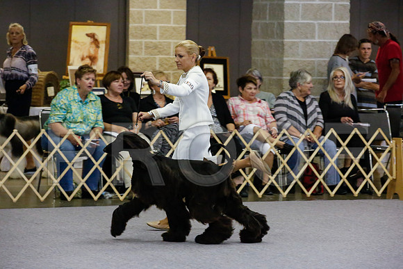_JJ_0400-AfgBeltonOct2014-HR3