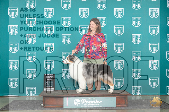 Australian Shepherd #649 Sat TDRBIS Judge Lori Sargent__JP_2747_Premier_2024_HR3