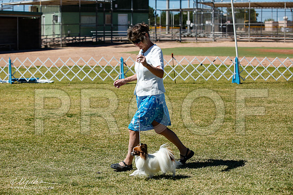 _JJ_0631-AlamogordoOct2014-HR3