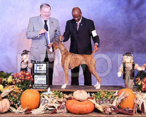Box-1638-LR