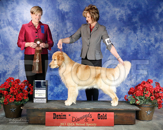 Sweeps-6942-WFOct2013-HR