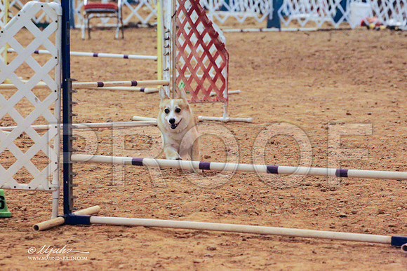 CorgPW-7882 PROOF