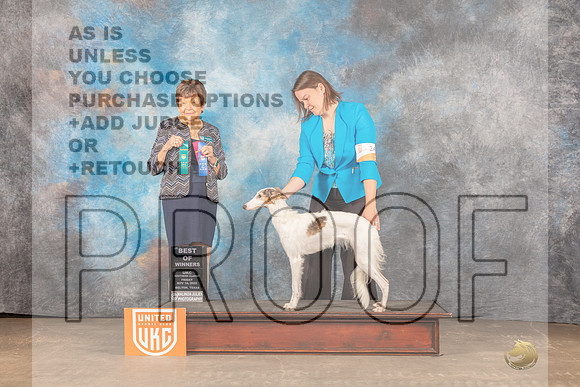 *Silken Windhound #244 Fri BOW Judge Nancy Gallant-_MJ_3060e_UKCBelton2022-HR3