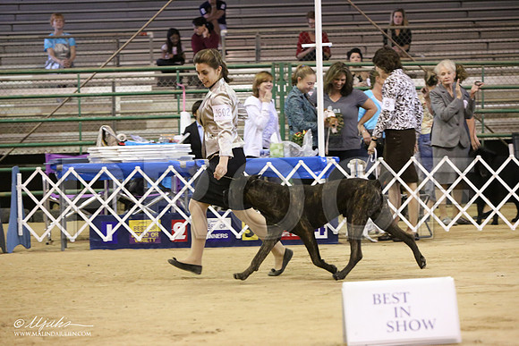 BestJuniorScholarship-8139-LR