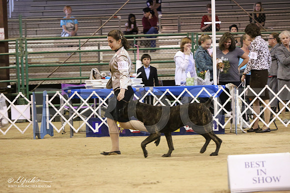BestJuniorScholarship-8140-LR