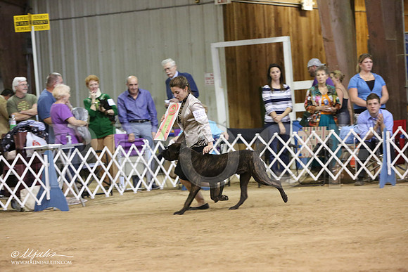BestJuniorScholarship-8156-LR