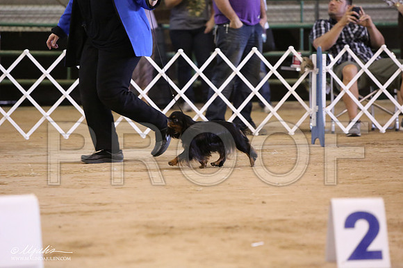 ChiL-7656-LR