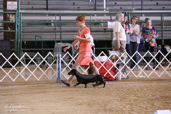 DachS-6718-LR