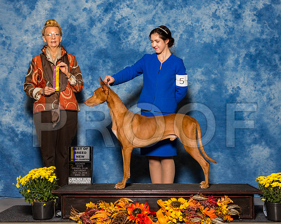 11- EnidOK -October 15, 2016-HR3