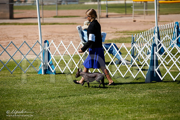 _JJ_8567-AlamogordoOct2014-HR3