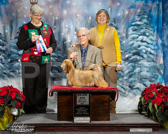 _ST_8695-DallasDec2014-HR3