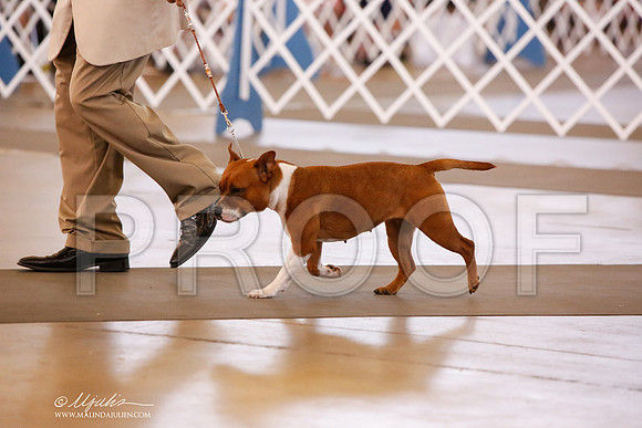 _JJ_7390-DallasJul2014-HR3
