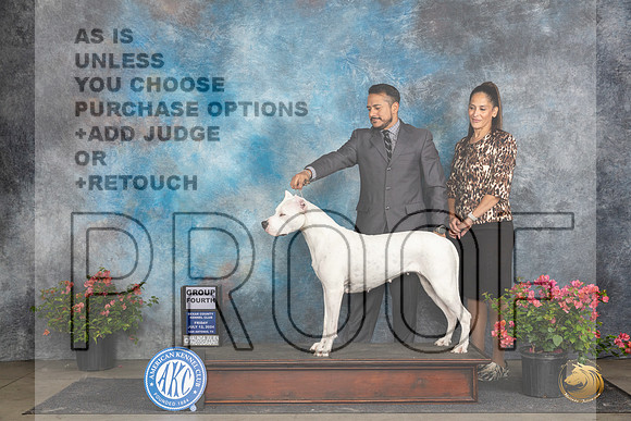 Dogo Argento #12 Fri G4 Judge Wendy G Willhauck__JP_4488_San Antonio_2024_HR3