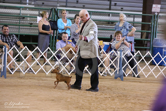 MinPin-7620-LR
