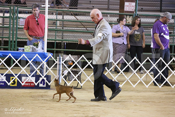 MinPin-7629-LR