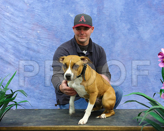 APBT-4261