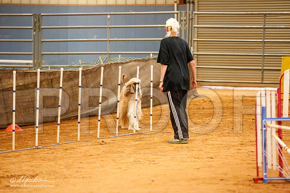 _JJ_5870-AfgBeltonOct2014-HR3