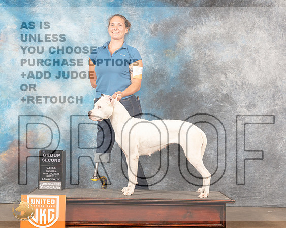 Dogo Argentino #311 G2 Sun1 Judge Kevin Izard-CarrollMMJ_5953_Lngvw2022HR3