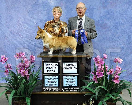 CorgPW-4289