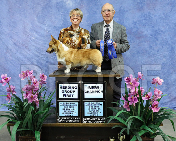 CorgPW-4290