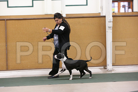 BISpup-1487