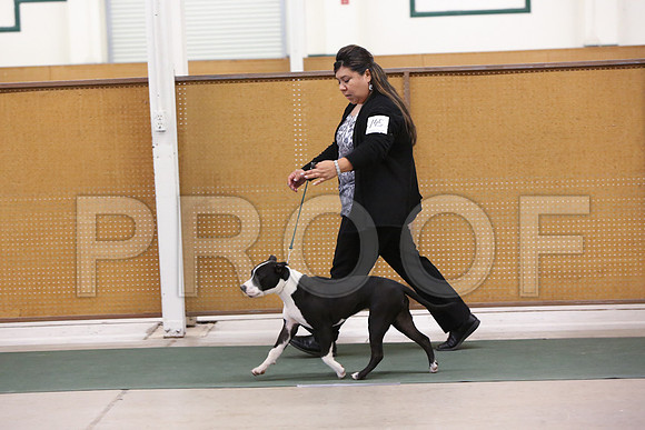 BISpup-1492