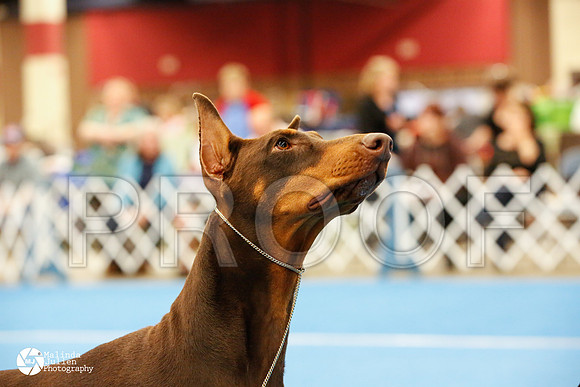 dobe-0098-FWMar14-HR